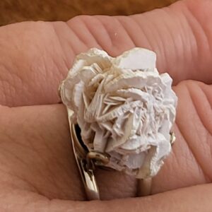 Rosa del desierto blanca