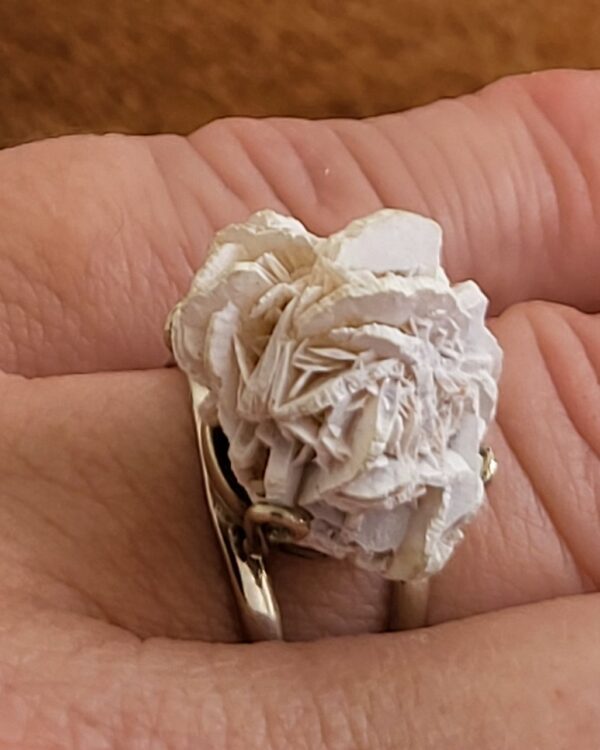 Rosa del desierto blanca